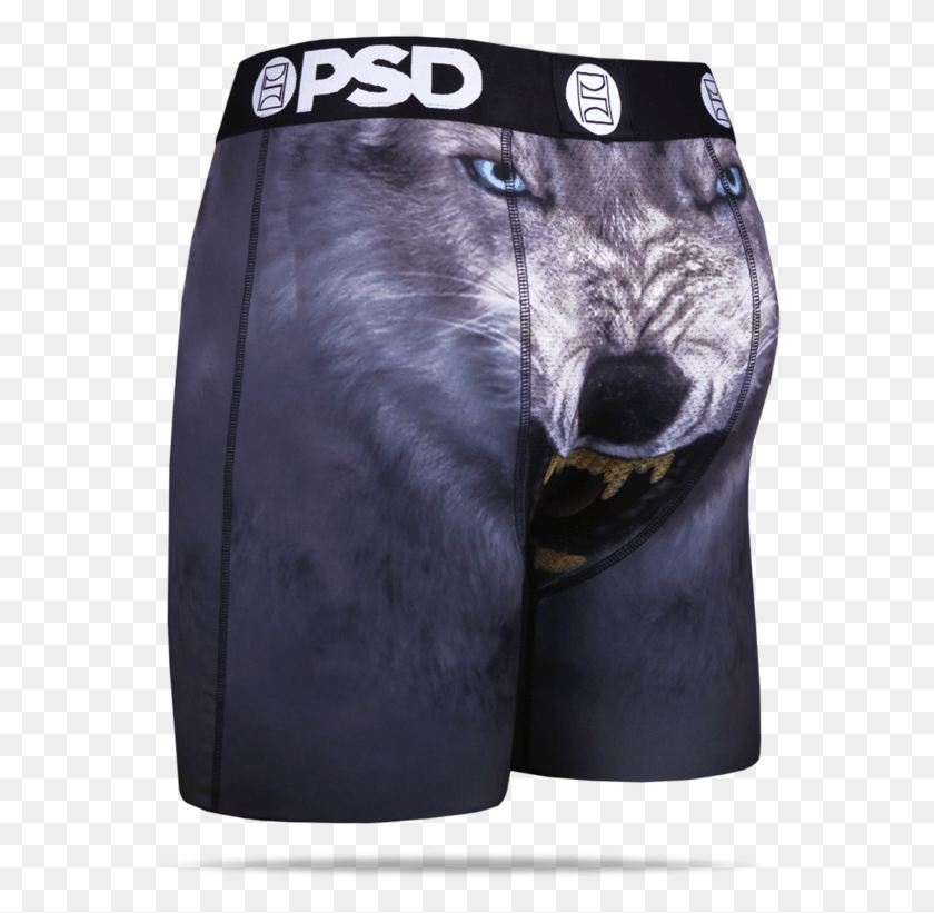 565x761 Psd Underwear Men39s Wolf Grillz Boxer Brief E21810079 Underpants, Mammal, Animal, Dog HD PNG Download