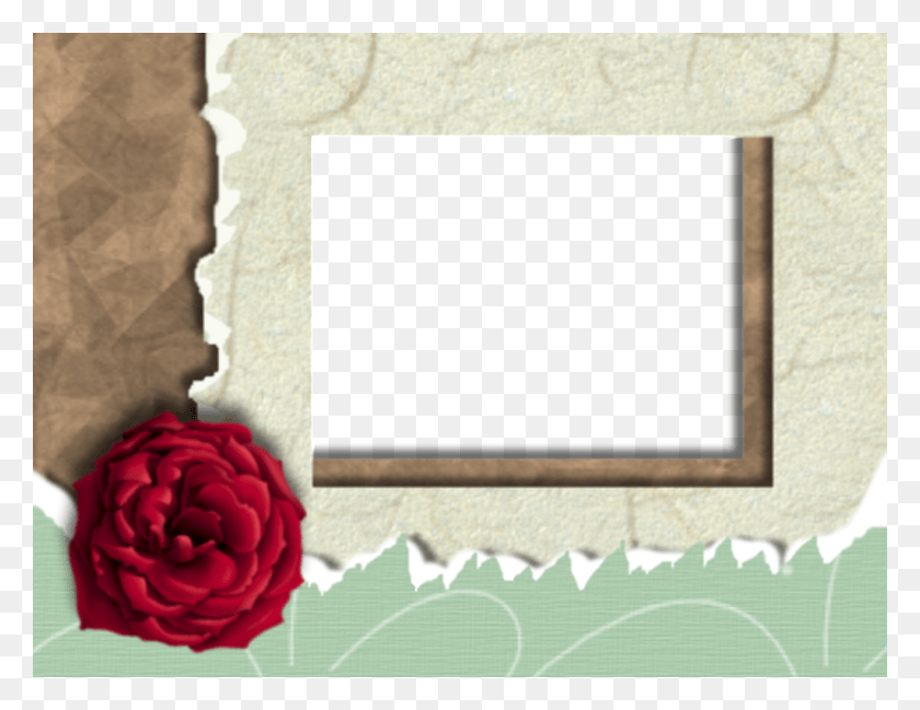 1023x773 Psp Frame Rose Torn Paper Photo By Marijamagdalena Torn Paper, Flower, Plant, Blossom HD PNG Download
