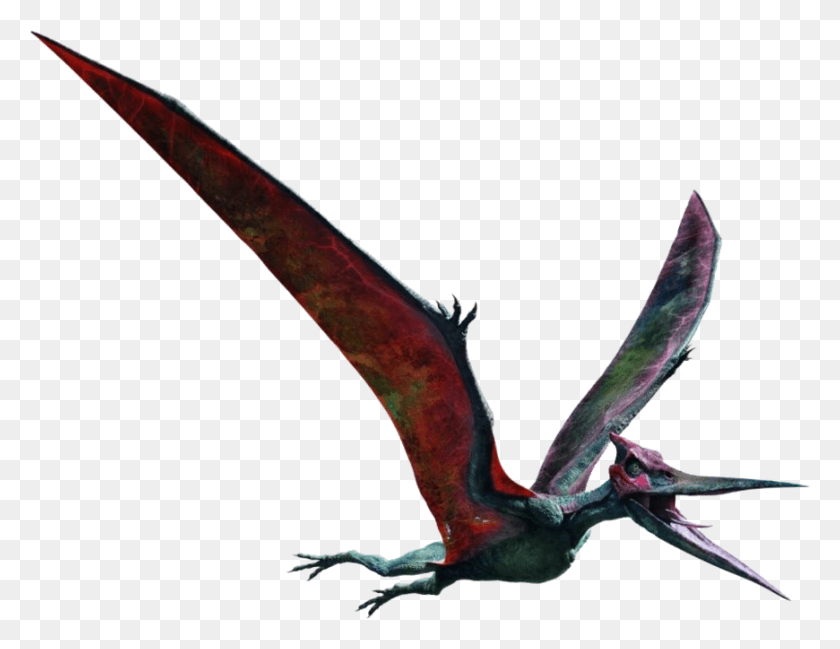 870x657 Pteranodon Pteranodon Jurassic World Fallen Kingdom, Bird, Animal, Dragon HD PNG Download