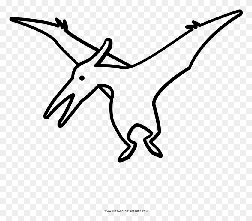 901x781 Pterodactyl Coloring, Gray, World Of Warcraft HD PNG Download