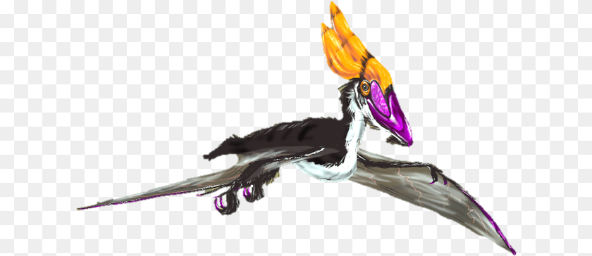 Pterodactyl Dragon, Animal, Beak, Bird, Vulture Transparent PNG