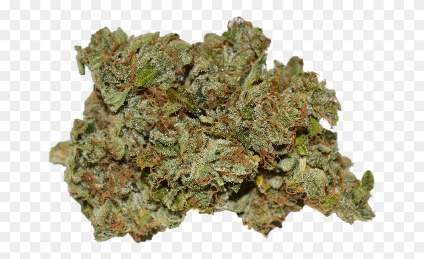 650x453 Pts Sour Kush Non Vascular Land Plant, Weed, Vegetation, Pollen HD PNG Download