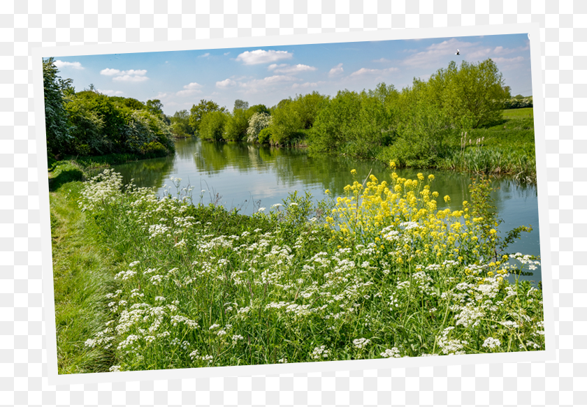 752x523 Pub Walk River Freshwater Marsh, Nature, Outdoors, Water HD PNG Download