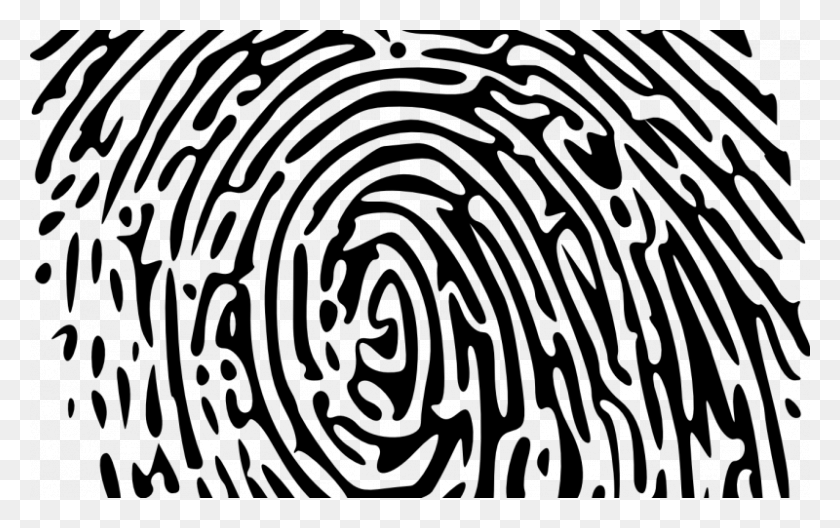 800x480 Public Domain Fingerprinting Services, Gray, World Of Warcraft HD PNG Download