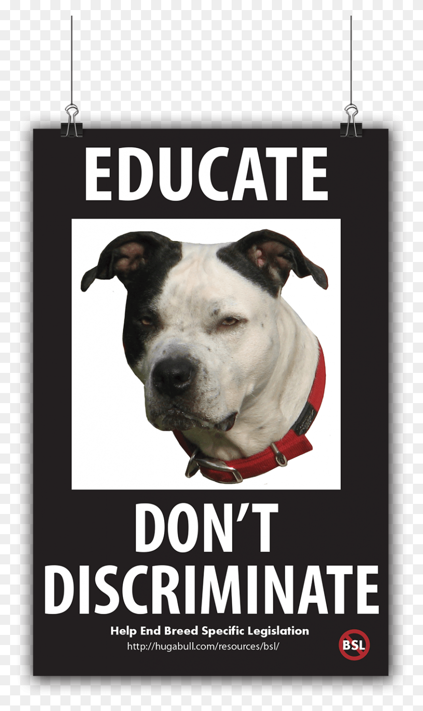 809x1402 Public Service Announcement Staffordshire Bull Terrier, Dog, Pet, Canine HD PNG Download