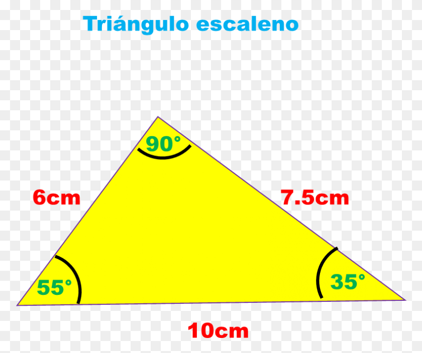 789x652 Puedes Construir Tringulos Escalenos Si La Medida Triangle, Бейсбольная Бита, Бейсбол, Командные Виды Спорта Png Скачать