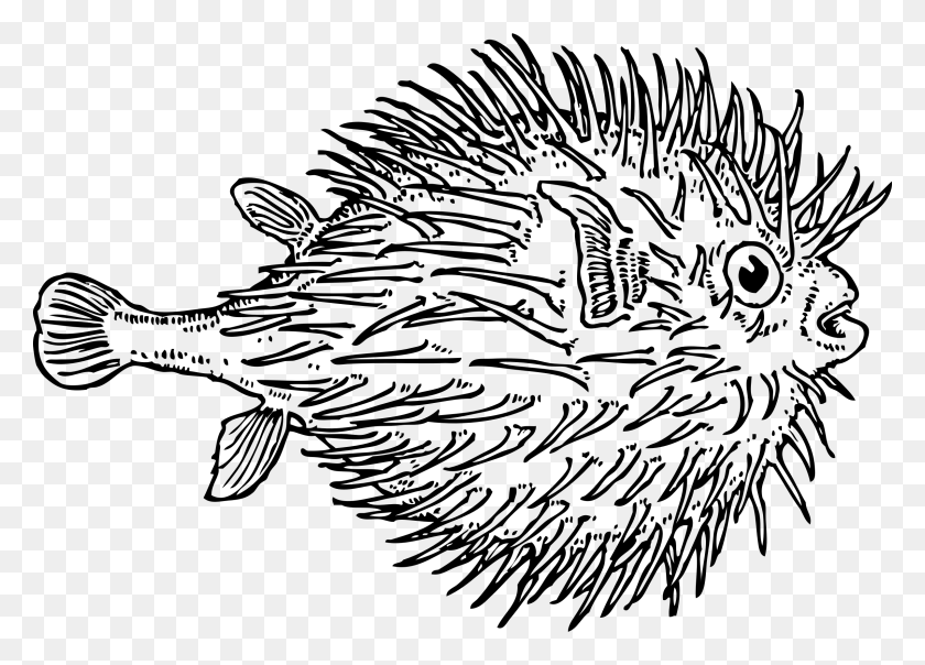 2400x1674 Puffer Fish Puffer Fish Clipart Black And White, Gray, World Of Warcraft HD PNG Download