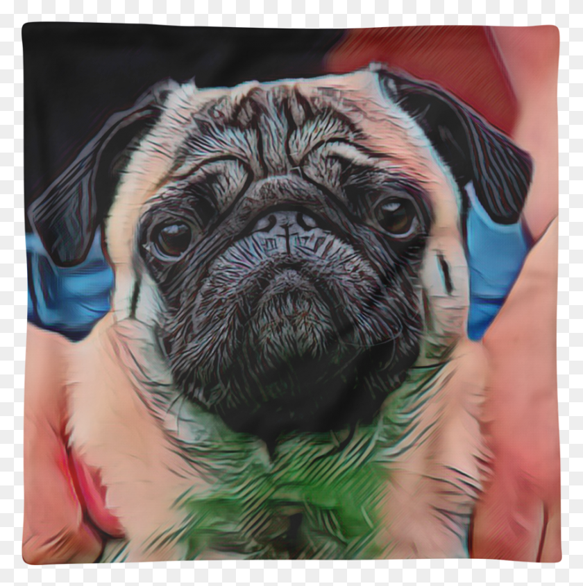 853x859 Pug Pillow Case Pug, Dog, Pet, Canine HD PNG Download