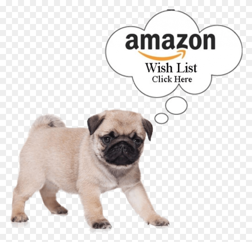 791x758 Pug Sticker Redbubble, Dog, Pet, Canine HD PNG Download