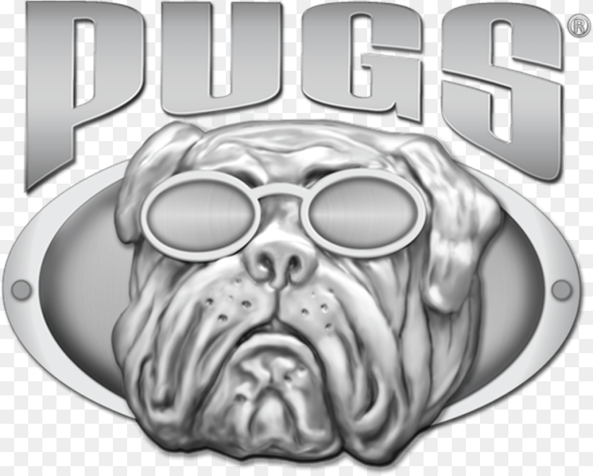 993x797 Pugs Pugs Gear, Accessories, Glasses, Person, Baby PNG