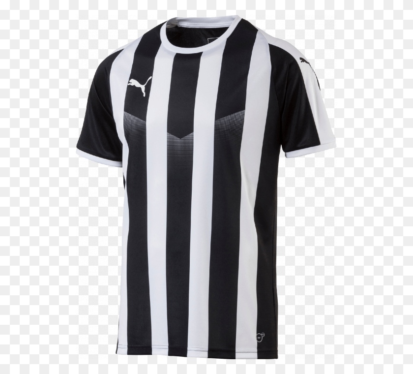 Puma Liga Striped Shortsleeved Shirt Sv Sandhausen Kit 18, Clothing, Apparel, Jersey HD PNG Download