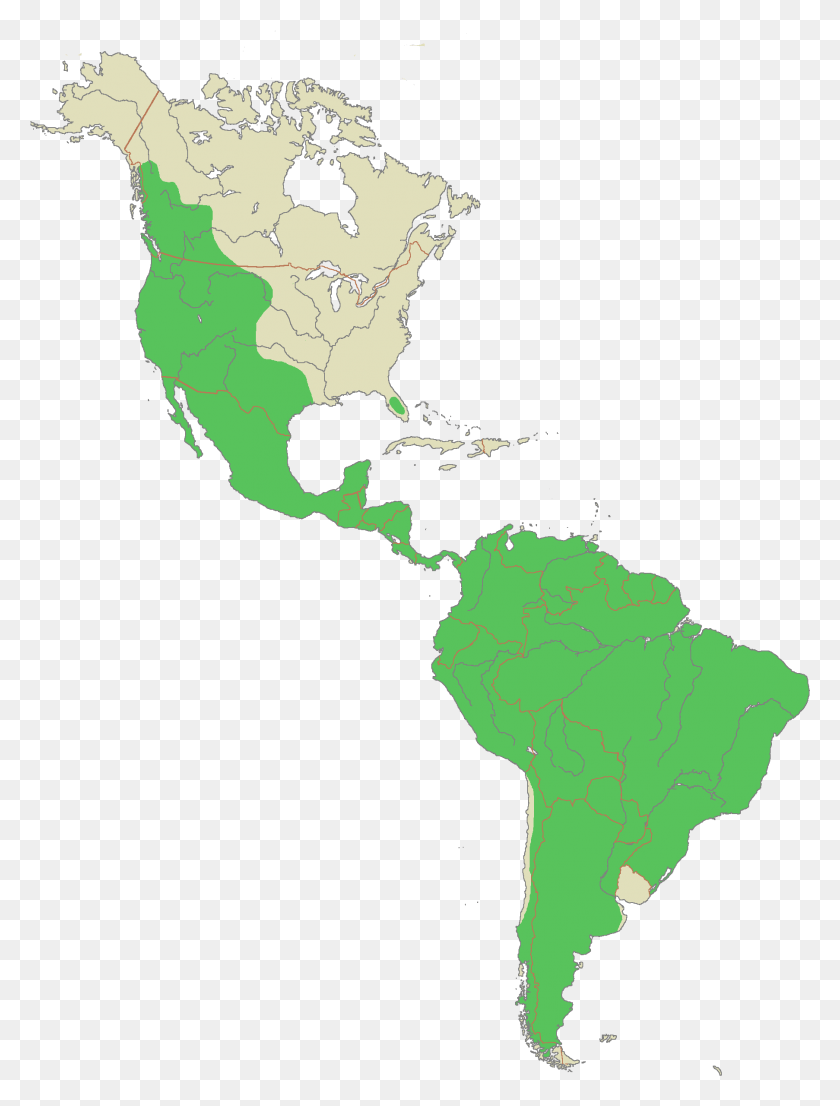 1806x2424 Puma Range Latin America Map Silhouette, Map, Diagram, Atlas HD PNG Download