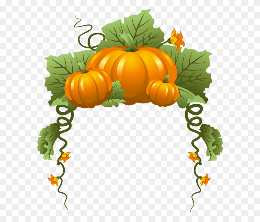 600x659 Pumpkin And Gourds Clipart Border, Graphics, Plant HD PNG Download