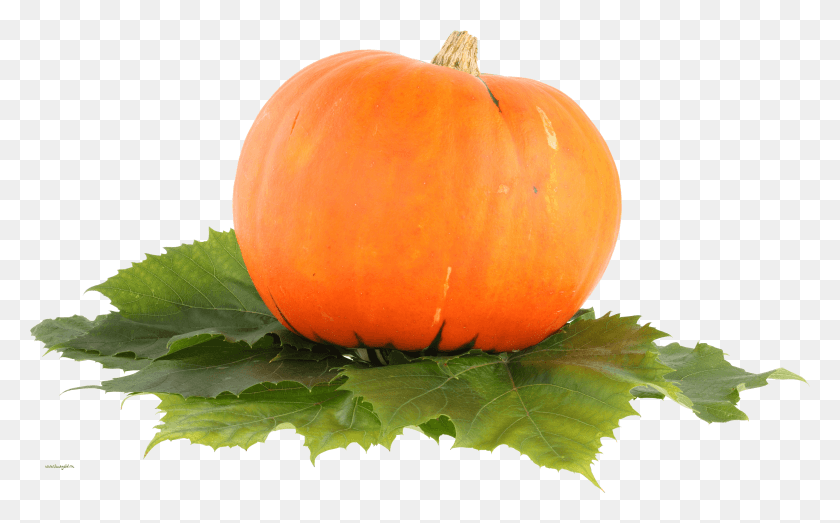 5713x3398 Pumpkin Image Pumpkin Fruit HD PNG Download