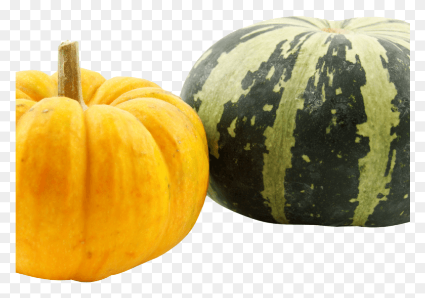 1025x696 Pumpkins Image, Plant, Food, Orange HD PNG Download