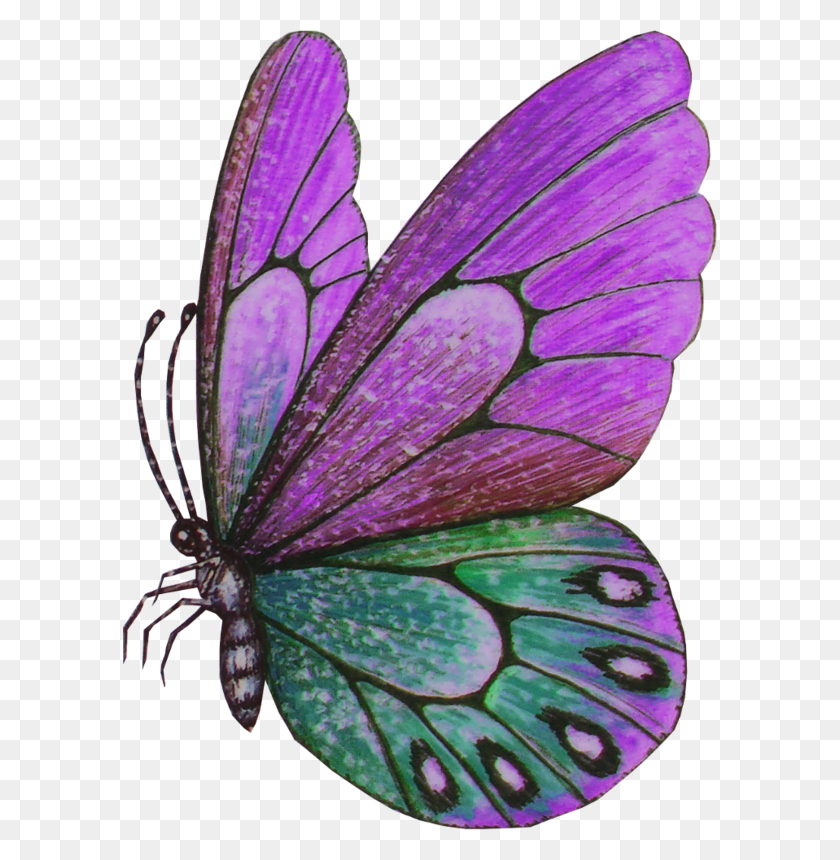 594x800 Puntos De Bordado Mexicano Fondos Mariposas Mariposa Lepidoptera, Насекомое, Беспозвоночное, Животное, Hd Png Скачать