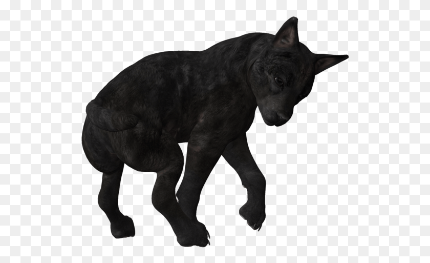 524x453 Descargar Png / Cachorro De Lobo Negro, Perro, Mascota, Canino Hd Png