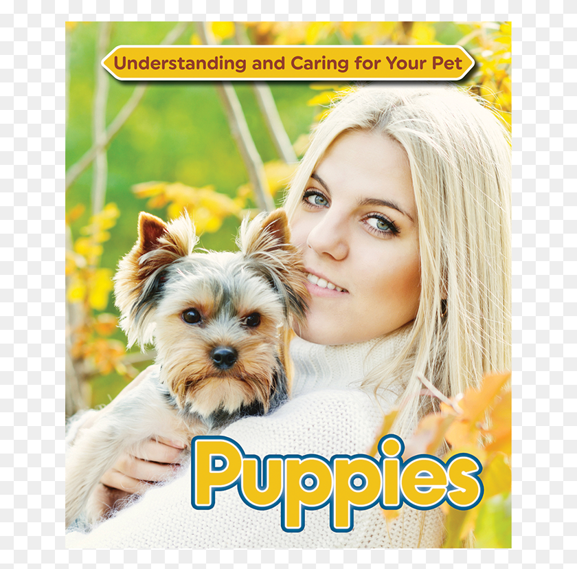 651x768 Puppies Yorkshire Terrier, Person, Human, Advertisement HD PNG Download