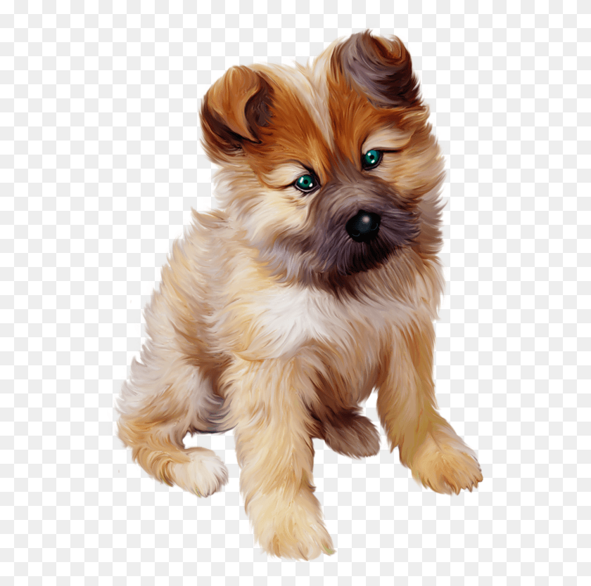 538x774 Puppy Photos Puppy, Dog, Pet, Canine HD PNG Download