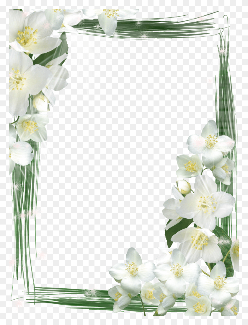 1650x2200 Пура Улун Дану Братан, Растение, Цветок, Цветение Hd Png Скачать