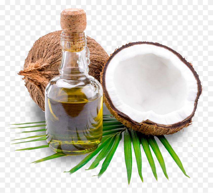 979x880 Pure Coconut Oil, Plant, Nut, Vegetable HD PNG Download