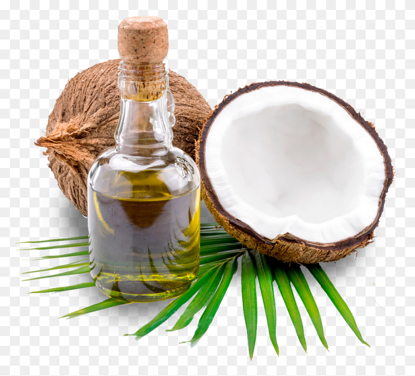 979x880 Descargar Png / Aceite De Coco Puro, Planta, Nuez, Vegetal Hd Png