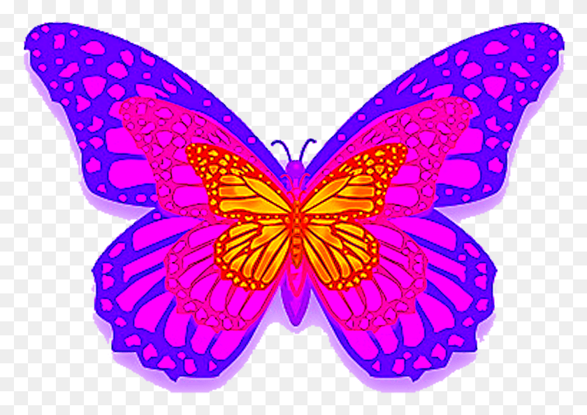 1584x1085 Purple Butterfly Borboleta Roxa, Pattern, Ornament, Fractal HD PNG Download