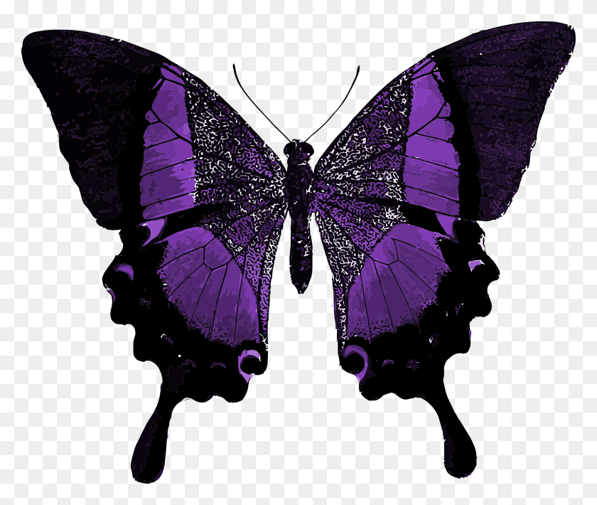 1920x1602 Descargar Png Mariposa Púrpura Colorido Bonito 1241702 Su Tiempo Como Oruga Ha Vencido Cita, Insecto, Invertebrado, Animal Hd Png