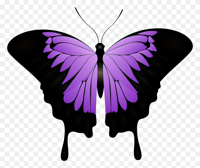 7911x6586 Purple Butterfly Decorative Transparent Image, Insect, Invertebrate, Animal HD PNG Download