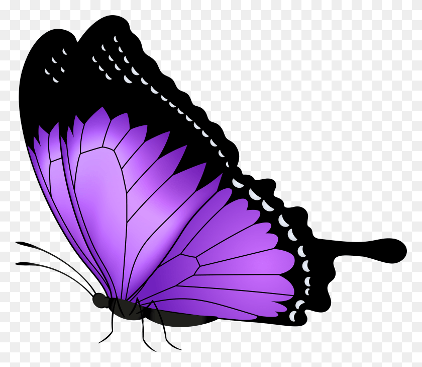 7832x6719 Purple Butterfly Transparent Clip Art Image, Purple, Butterfly, Insect HD PNG Download