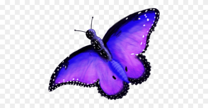 454x378 Púrpura Por Enchantedbluedragon Enchanted Butterfly, Animal, Invertebrado, Insecto Hd Png