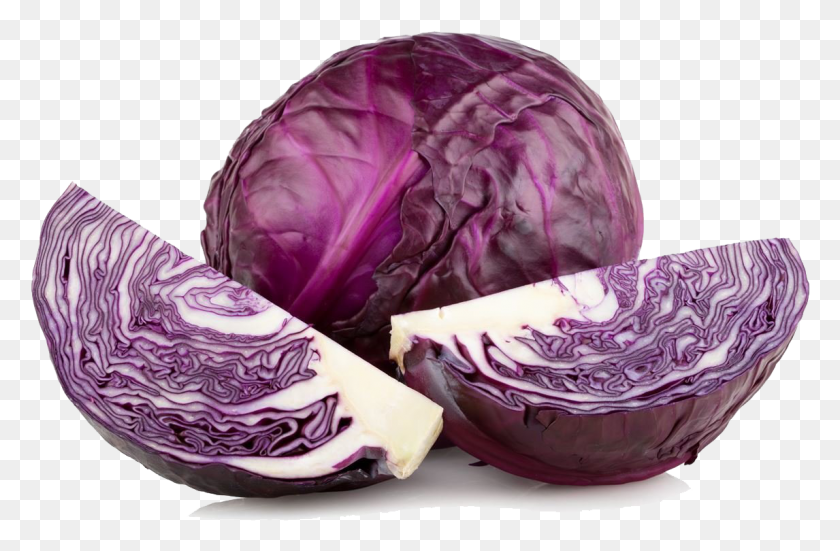 1146x722 Purple Cabbage High Quality Image 1 4 Red Cabbage, Plant, Vegetable, Food HD PNG Download