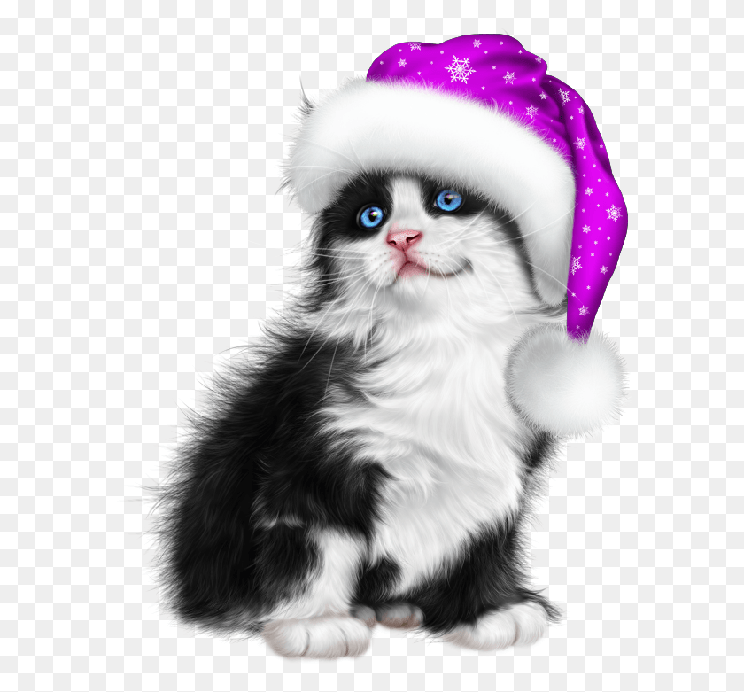 596x721 Purple Christmas Christmas Cats Kitten Cartoon Kitten Kitten, Cat, Pet, Mammal HD PNG Download