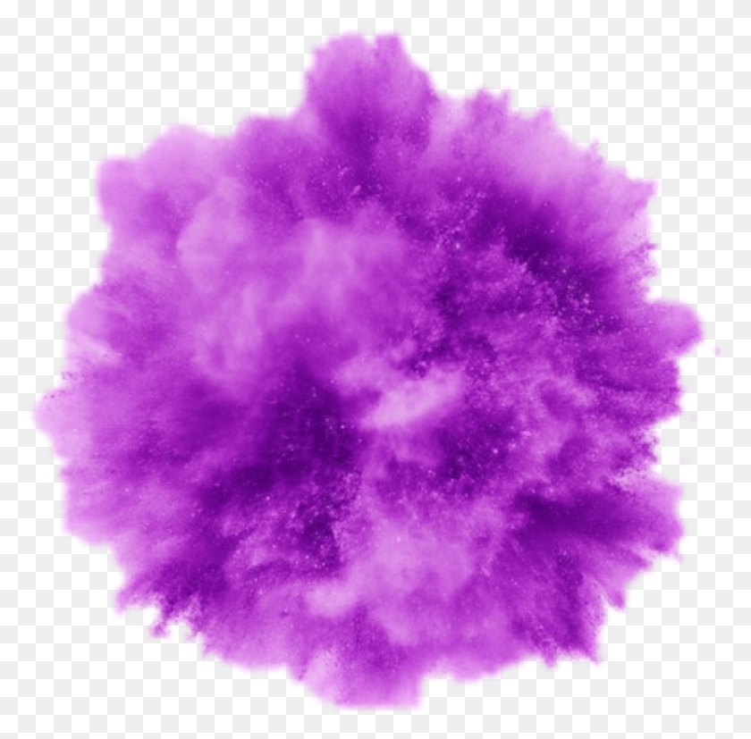 905x890 Purple Color Smoke, Fur HD PNG Download