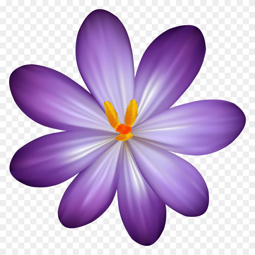 5903x5917 Фиолетовый Крокус Цветок Клипарт Картинка Hd Png Скачать