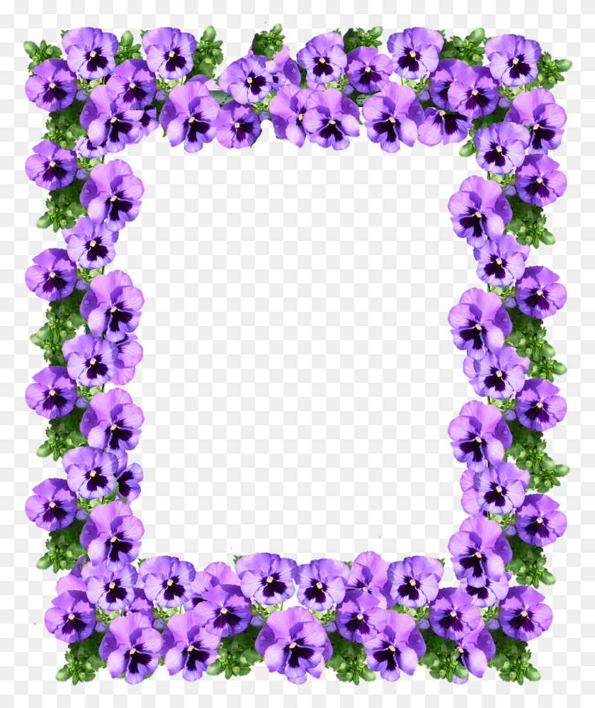997x1201 Descargar Png Marco Floral Púrpura, Planta, Flor, Flor Hd Png