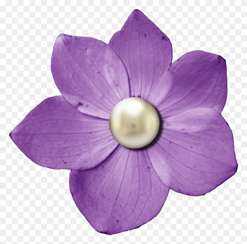1155x1138 Фиолетовый Цветок Клипарт Лиловый Цветок Темно-Розовые Цветы, Фиолетовый, Растение, Лепесток Hd Png Скачать