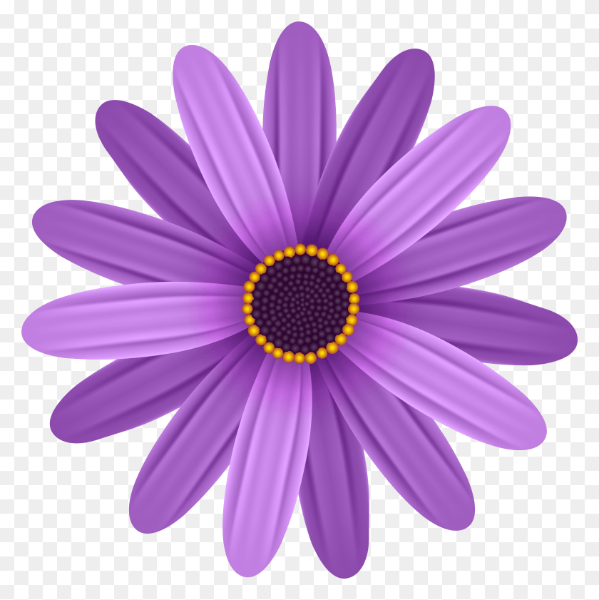 6906x6917 Purple Flower Transparent Clip Art Image HD PNG Download