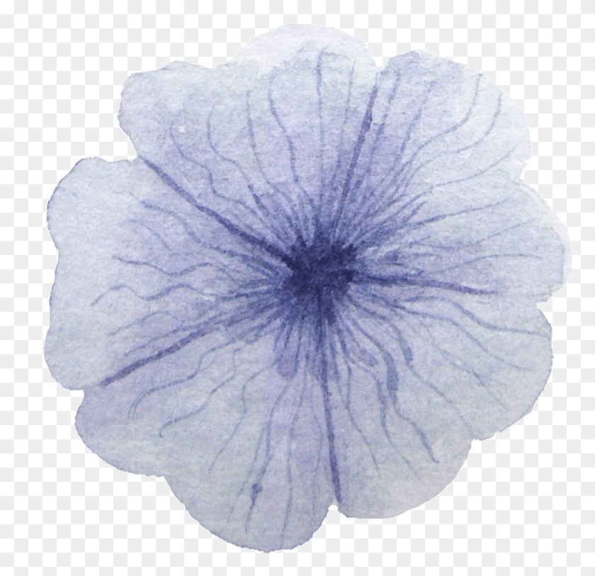 970x937 Фиолетовый Цветок Прозрачный Декоративный Петуния, Герань, Цветок, Растение Hd Png Скачать