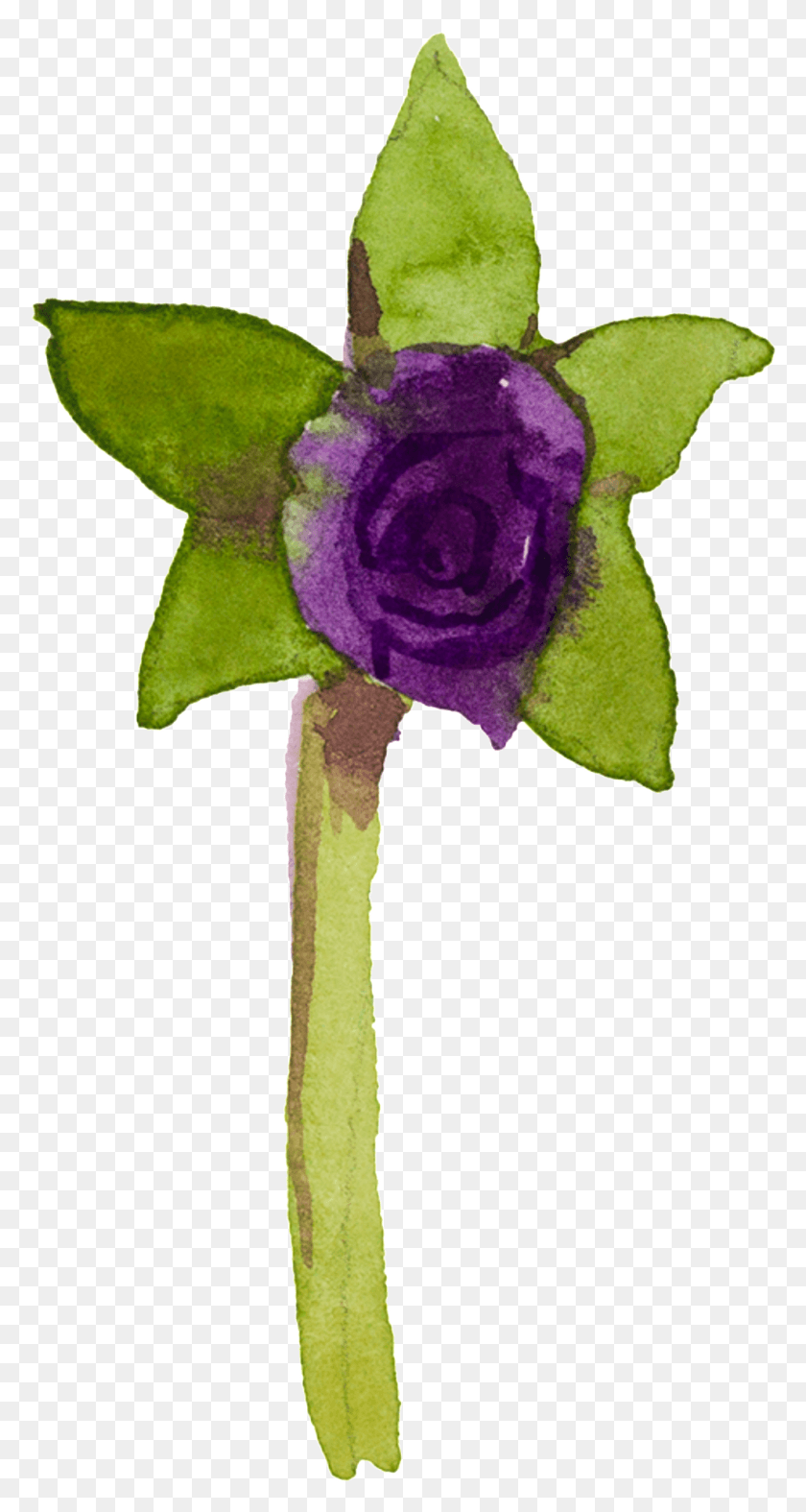 987x1918 Purple Hand Painted Small Flower Watercolor Transparent, Plant, Blossom, Pollen Descargar Hd Png