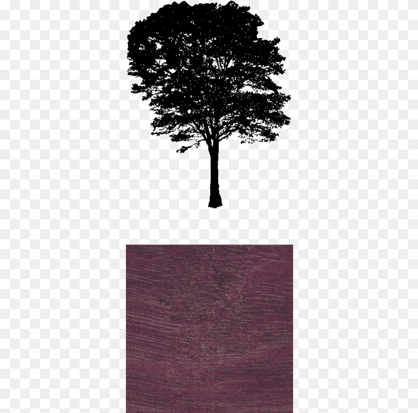 Purple Heart Services Foundation, Plant, Tree, Tree Trunk, Art Sticker PNG