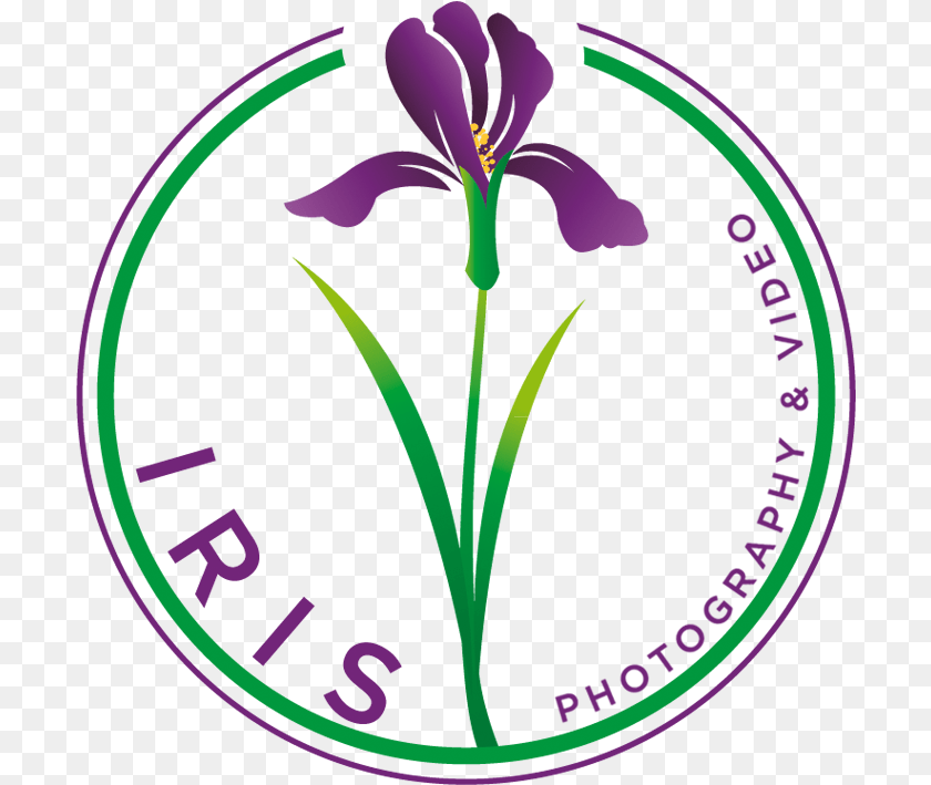 704x709 Purple Iris Iris, Flower, Plant Clipart PNG