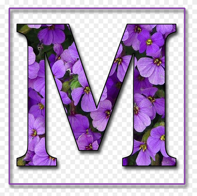 1181x1174 Purple Love All Things Purple Shades Of Purple Purple Letter M Purple Flower, Clothing, Apparel, Text HD PNG Download