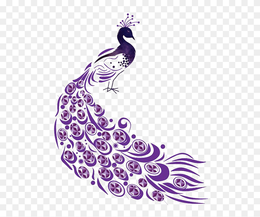 521x641 Purple Peacock Clipart, Graphics, Pattern HD PNG Download