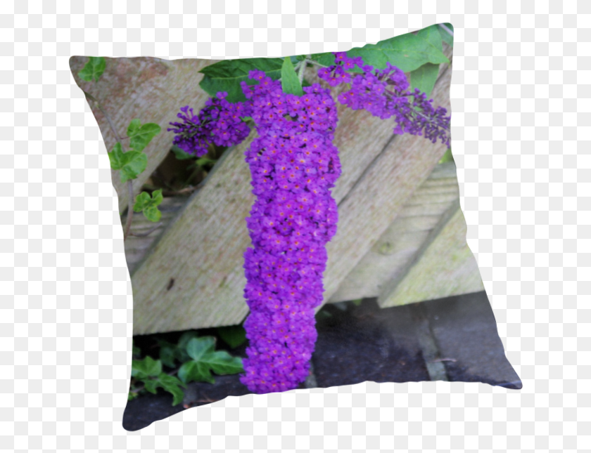 648x585 Purple Pleasure Throw Pillows By Francis Drake Cushion, Plant, Sphere, Flower HD PNG Download
