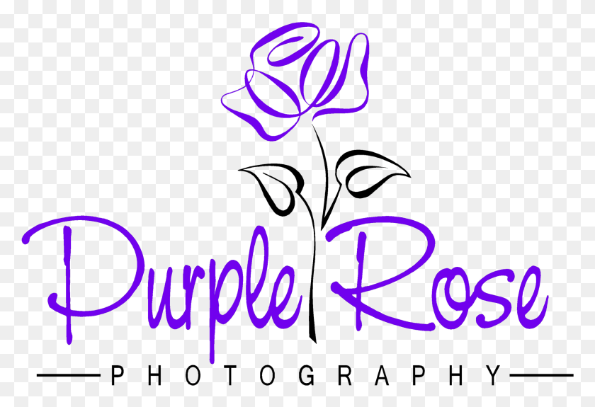 2136x1413 Purple Rose, Text, Handwriting, Alphabet HD PNG Download