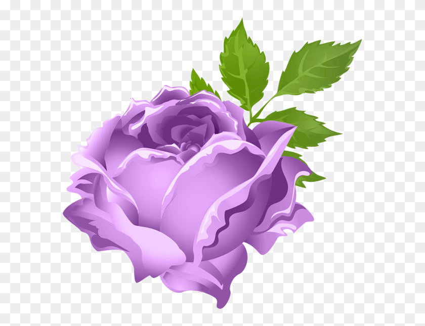 600x585 Purple Rose Clip Art Image Purple Rose Transparent, Flower, Plant, Blossom HD PNG Download