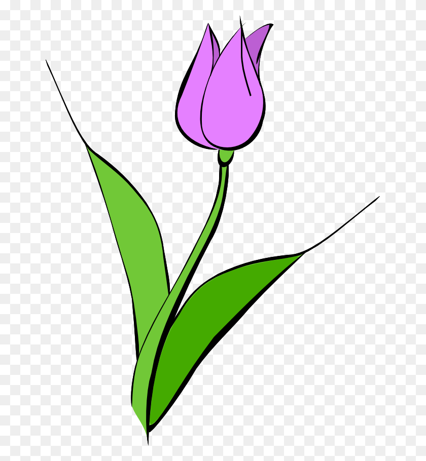 659x850 Purple Rose Clipart Animated Purple Tulip Clipart, Plant, Flower, Blossom HD PNG Download
