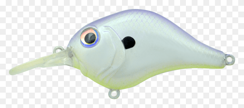 1422x572 Фиолетовый Дым, Рыба-Хирург, Морская Жизнь, Рыба Hd Png Скачать