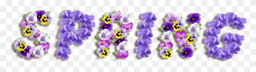 3387x766 Purple Spring Clipart Violets Spring HD PNG Download